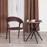Кресло TINTO (mod. PC59) / 1 шт. в упаковке пластик,  60 х 63 х 83 см, Brown (коричневый) 14 Brown (коричневый) 14 пластик