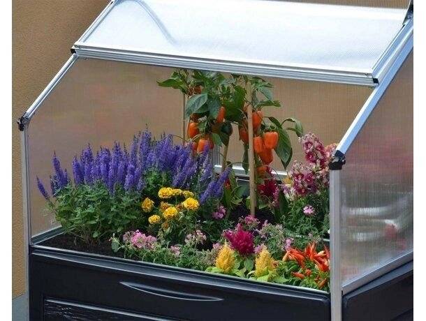 Теплица Palram Plant Inn 4х4